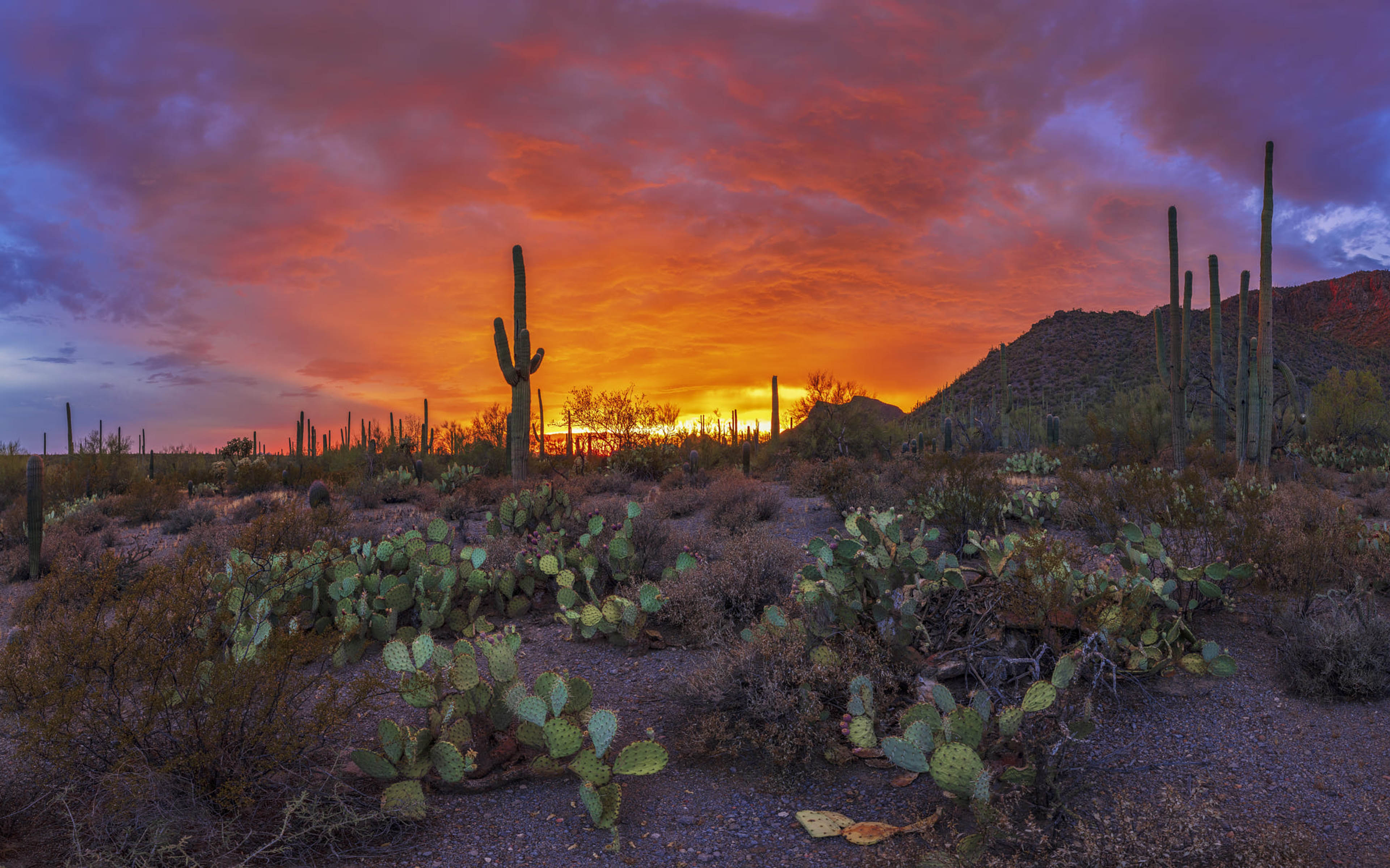 Sunset Beautiful Landscape Pima County County In Arizona Usa 4k Ultra