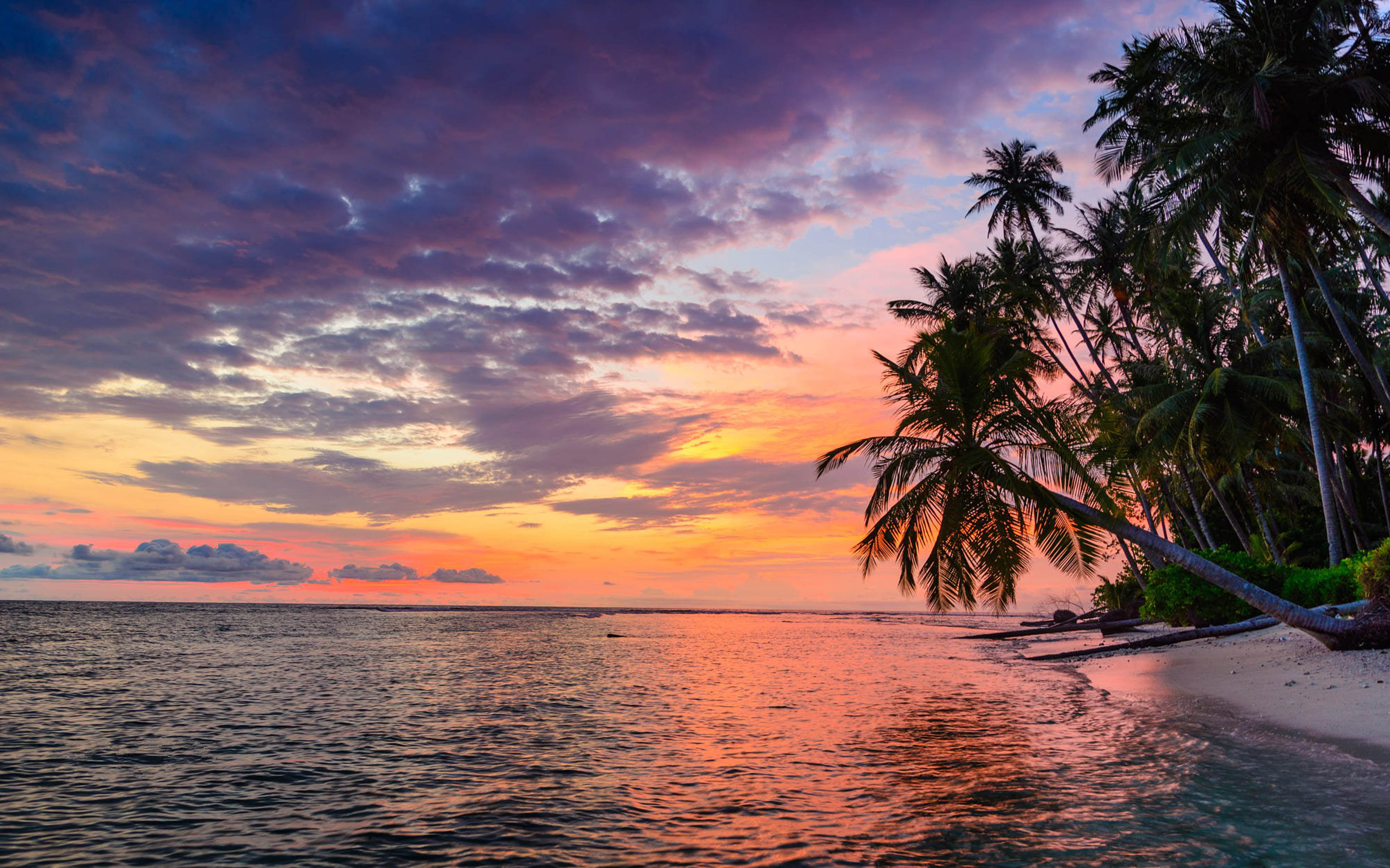 Indonesia Banyak Islands Sumatra Tropical Desert Beach Sunset Sky Sea Palm  Trees Photo Landscape 4k Ultra Hd Wallpaper For Desktop Laptop :  