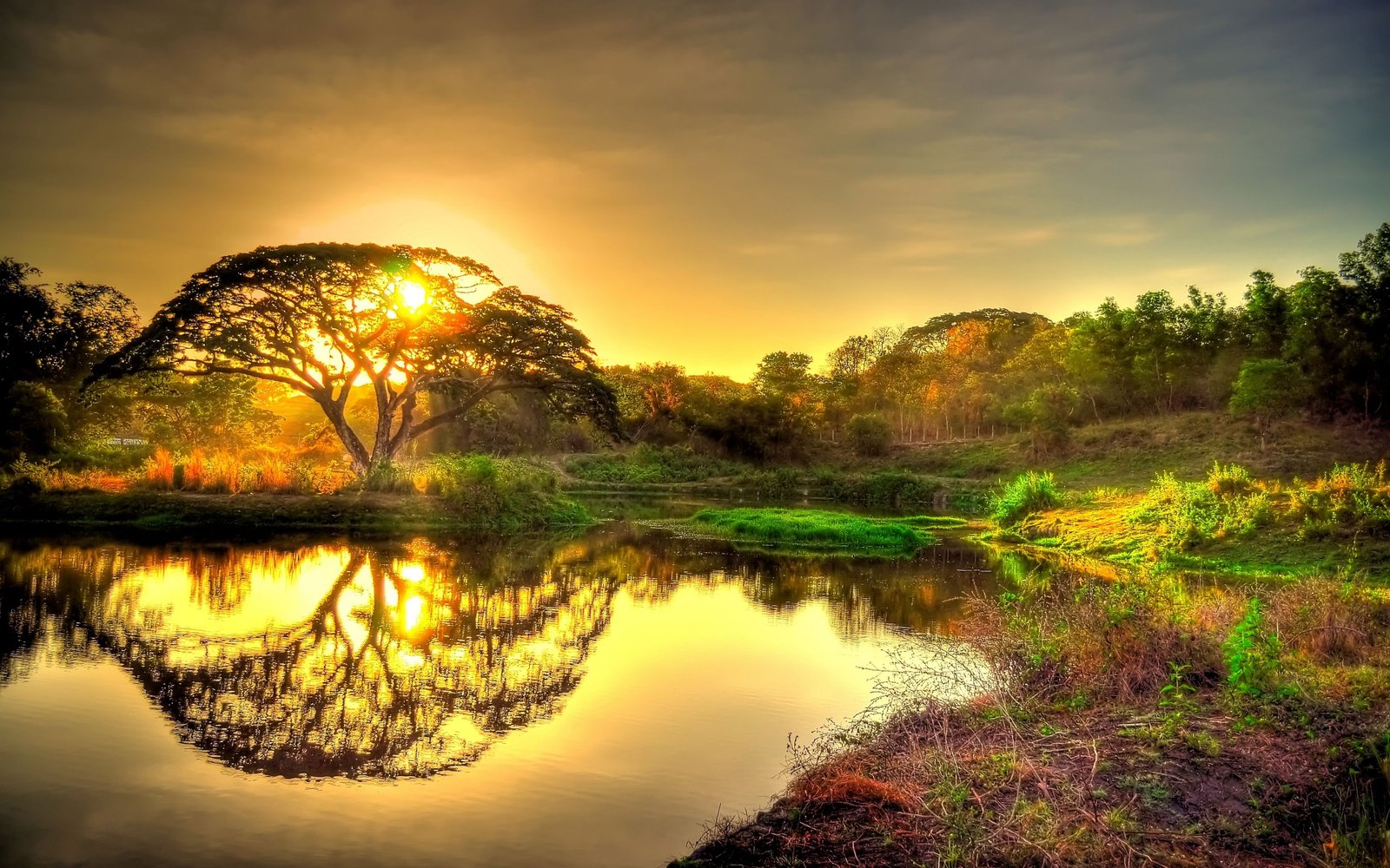 Beautiful Gold Sunrise Sky Clouds Tree Lake Reflection In Water