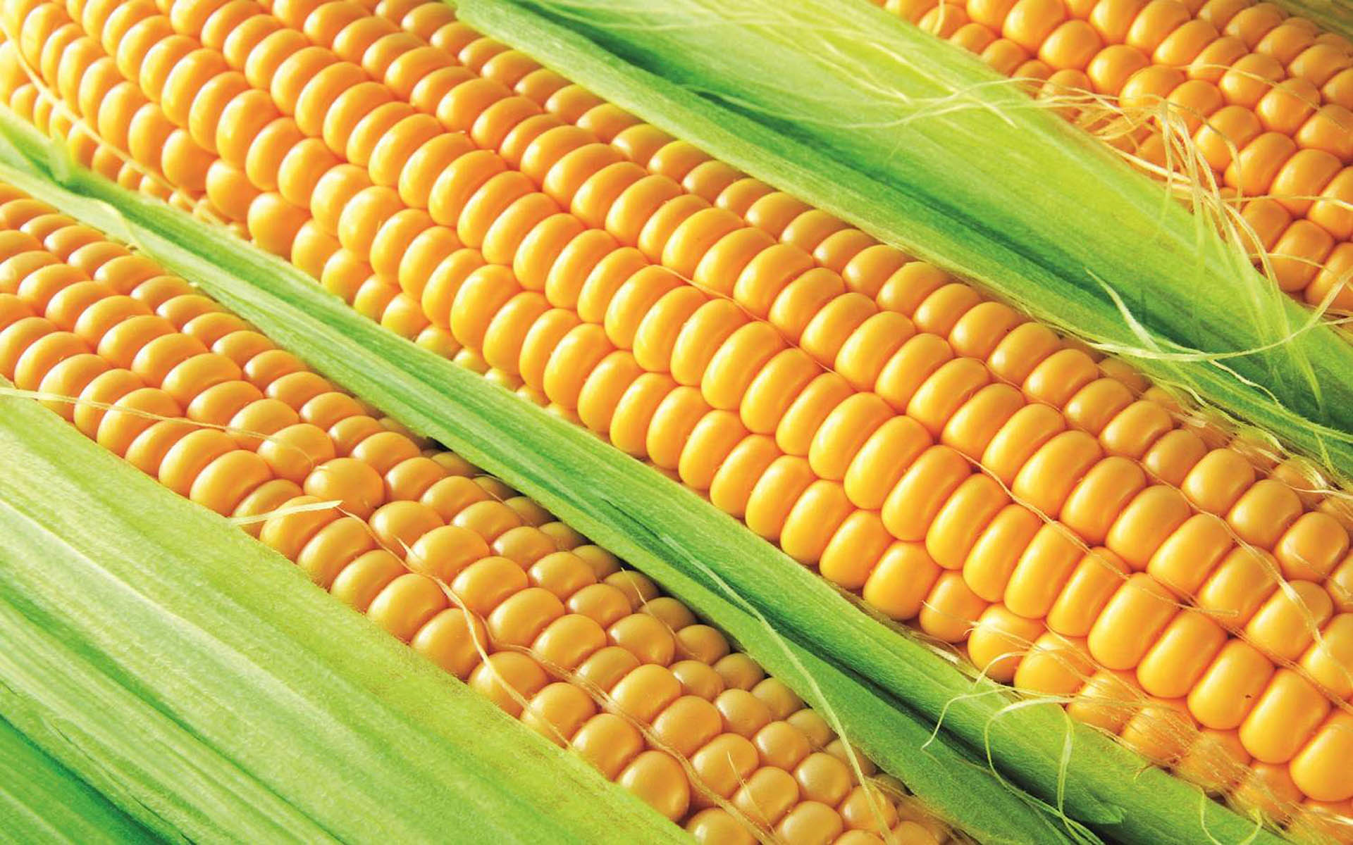 Смартфон corn