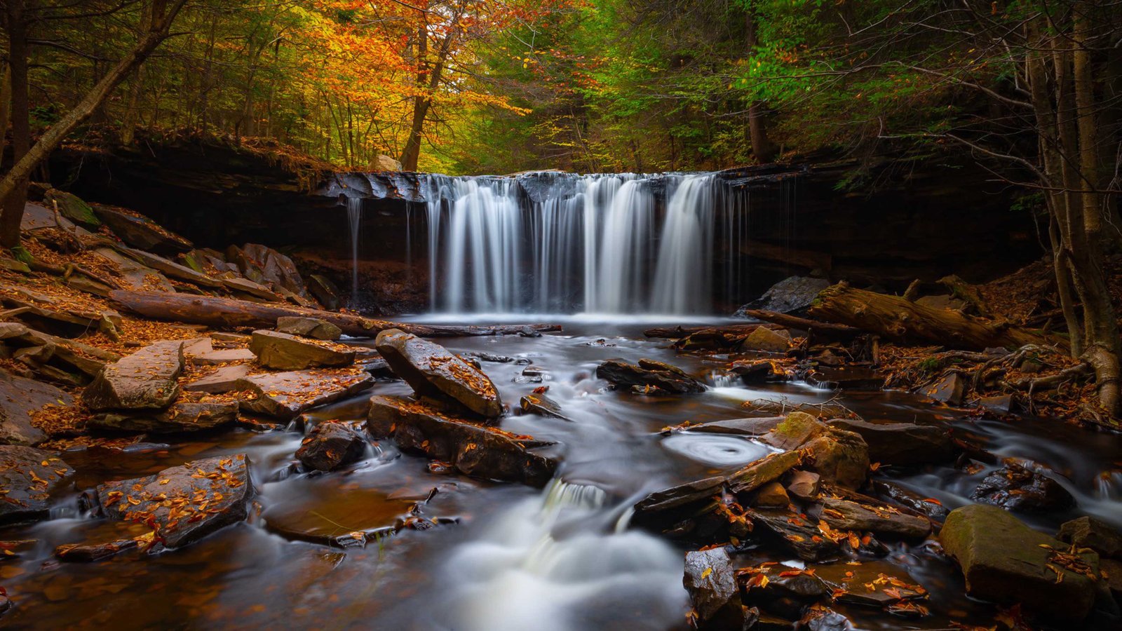 Forest Waterfall Rocks Red Leaves Autumn Scenery 4k Ultra Hd Wallpaper