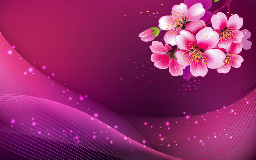 Pink Cherry Blossom And Vector Icons 3d Model Computer Wallpaper Hd :  