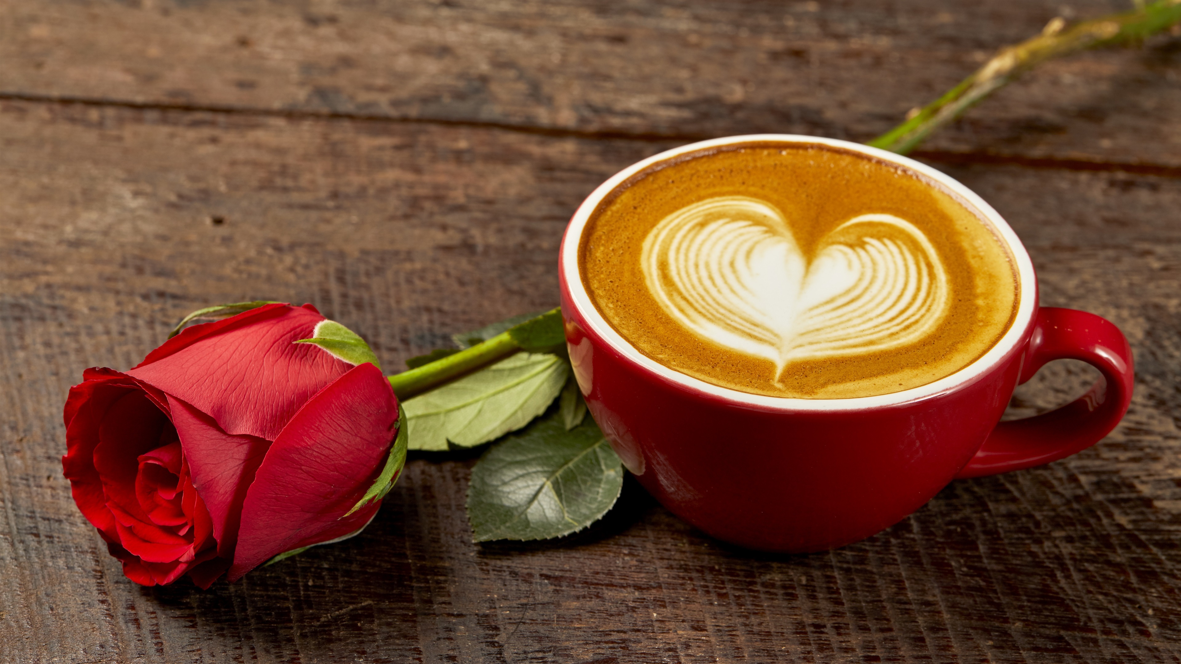 Red Rose Cup With Coffee Love Heart Romantic Wallpaper Hd
