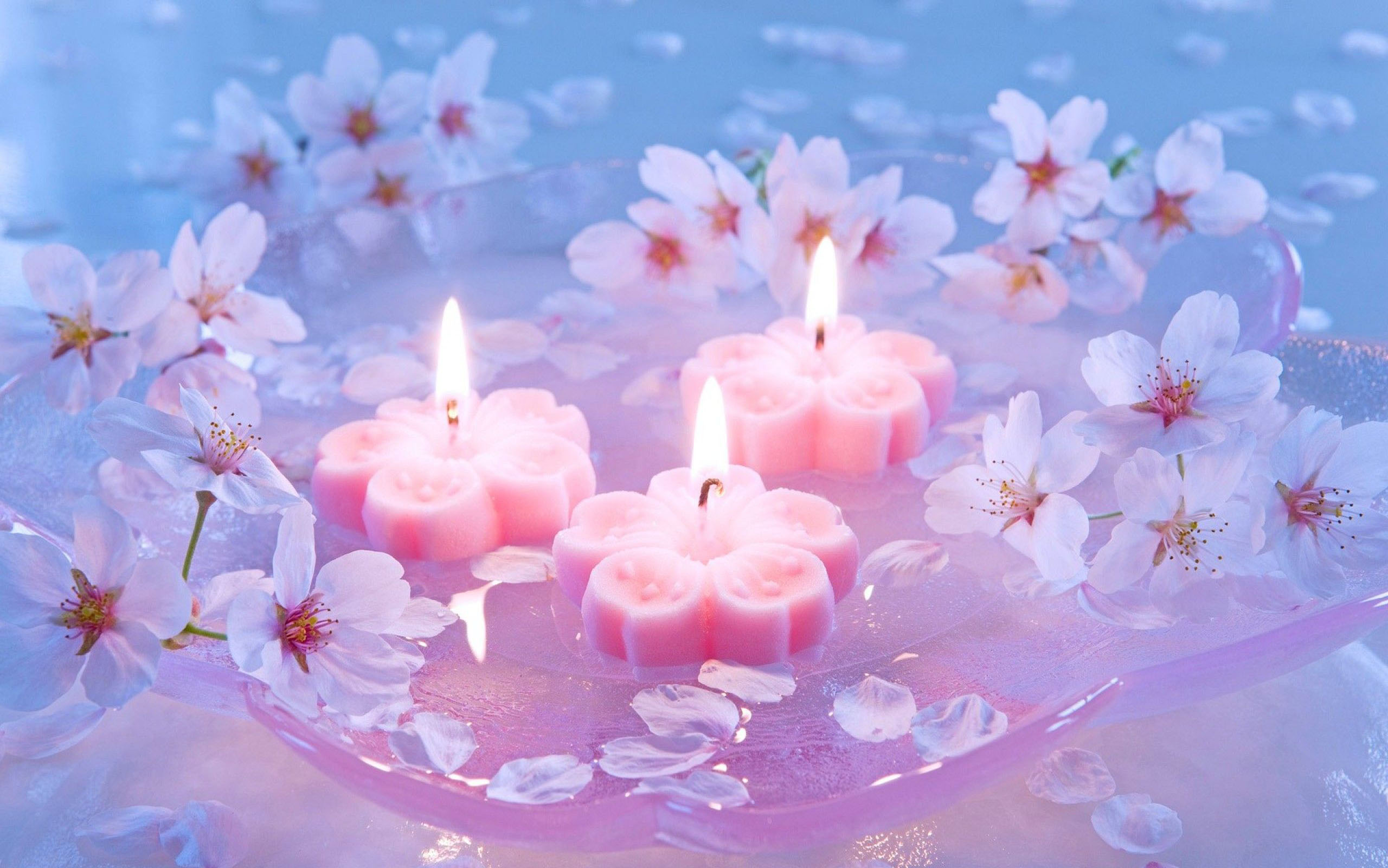 1217963 4K Candle  Rare Gallery HD Wallpapers