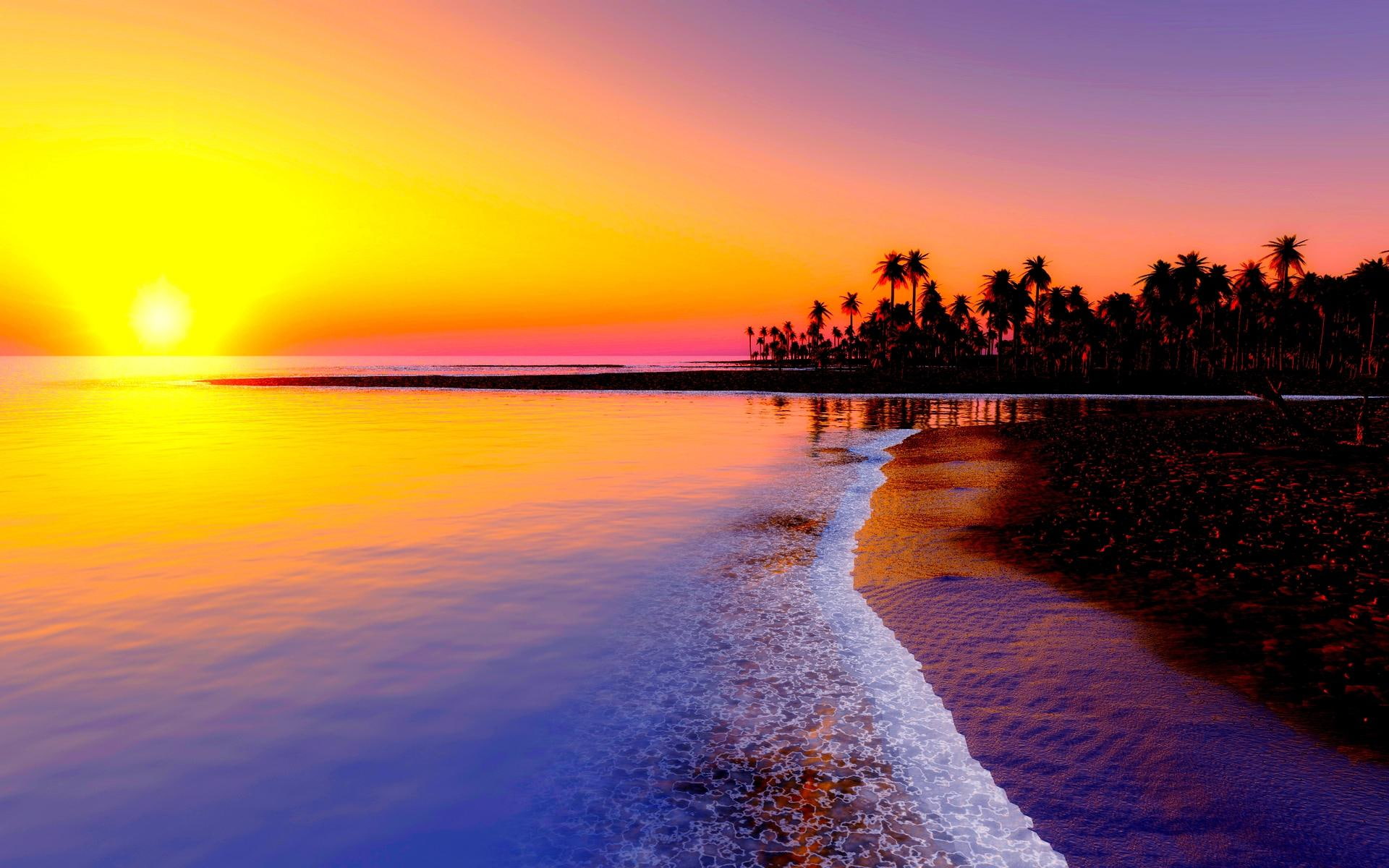 HD wallpaper beach sunset palm trees water sky scenics  nature  beauty in nature  Wallpaper Flare
