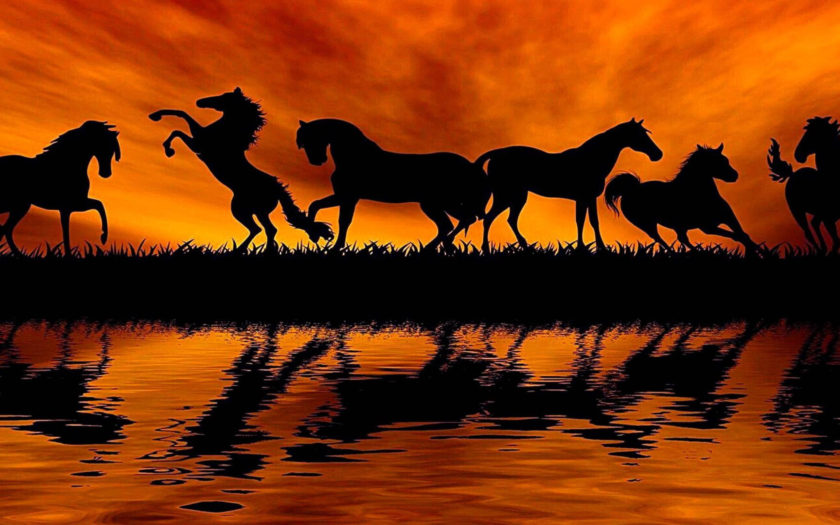 3D Sunset Horse Wallpaper  Download to your mobile from PHONEKY