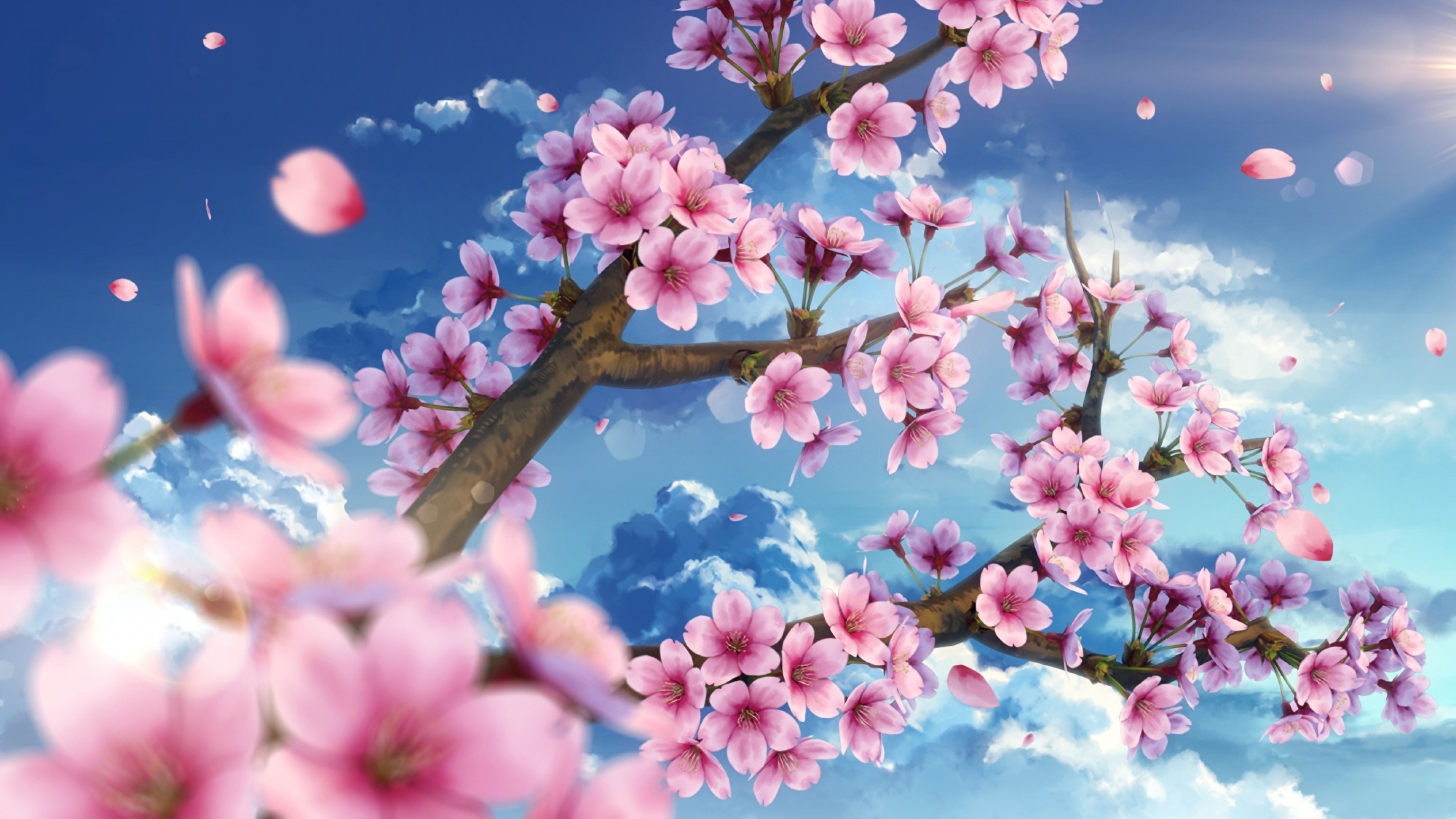 Sakura Wallpaper Flowering Tree Branch With Pink Flowers : 